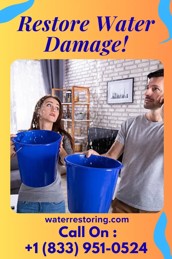 water restoration First Water Mitigation Company Kenel