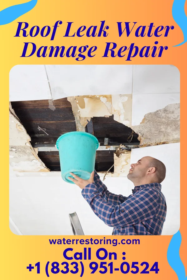 Roof Leak Water Damage Repair in Kenel, SD