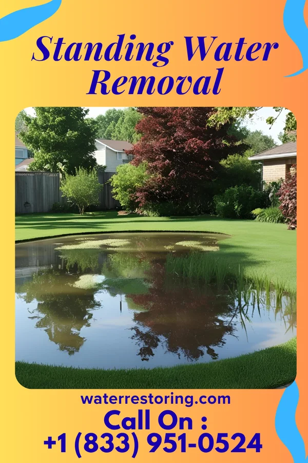 Standing Water Removal in Kenel, SD
